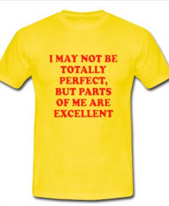 i may not be totally perfect T Shirt