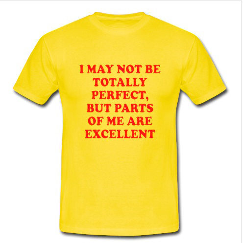 i may not be totally perfect T Shirt