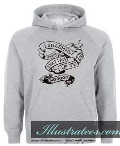 i solemnly swear that i am up to no good hoodie