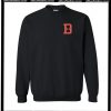 DSJ Sweatshirt