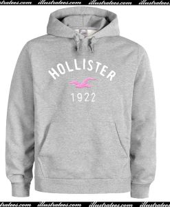 Hollister 1922 Hoodie