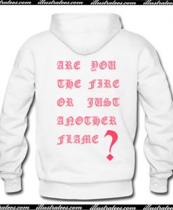 Are You The Fire Or Just Another Flame Hoodie Back Ap