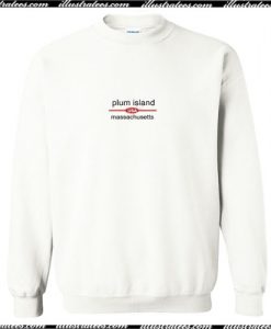 Plum Island Massachusetts Sweatshirt Ap