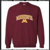 University of Minnesota Youth Sweatshirt Ap