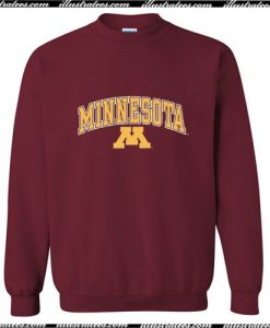 University of Minnesota Youth Sweatshirt Ap