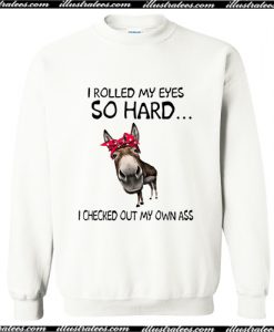 Donkey I rolled my eyes so hard I checked out my own ass Sweatshirt AI