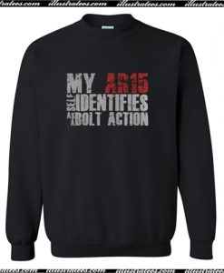 My Ar15 Identifies As A Bolt Action Sweatshirt AI