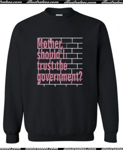 Mother Should I Trust The Government Sweatshirt AIMother Should I Trust The Government Sweatshirt AI