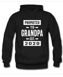 Promoted to Grandpa Est 2020 Hoodie AI