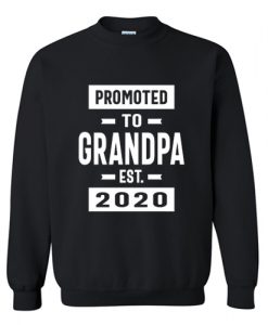 Promoted to Grandpa Est 2020 Sweatshirt AI