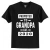 Promoted to Grandpa Est 2020 T-Shirt AI