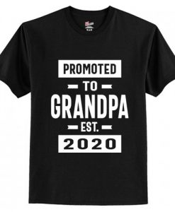 Promoted to Grandpa Est 2020 T-Shirt AI