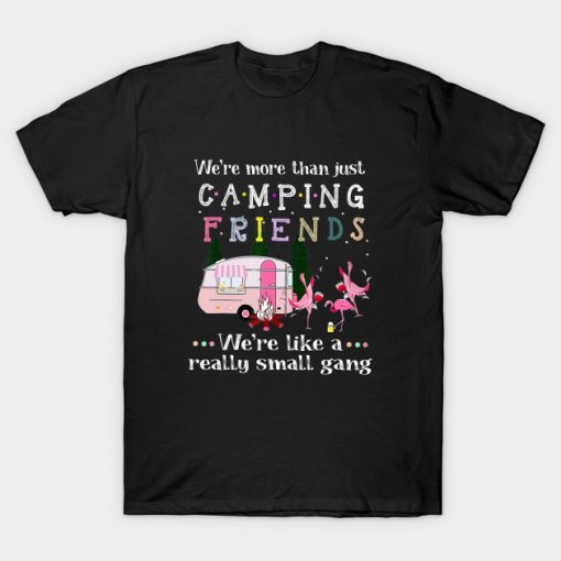 Were More Than Just Camping Friends T-Shirt AI